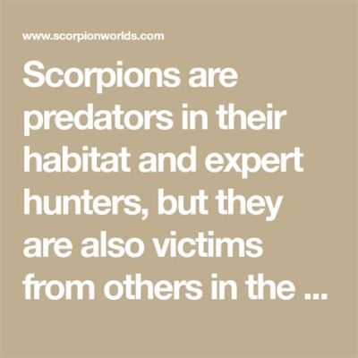  Scorpions: Agile Hunters Hiding Within Earth's Shadowy Crevices!